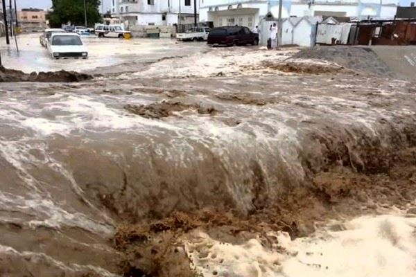 ببینید | سیل، شترهای عربستان را با خود برد